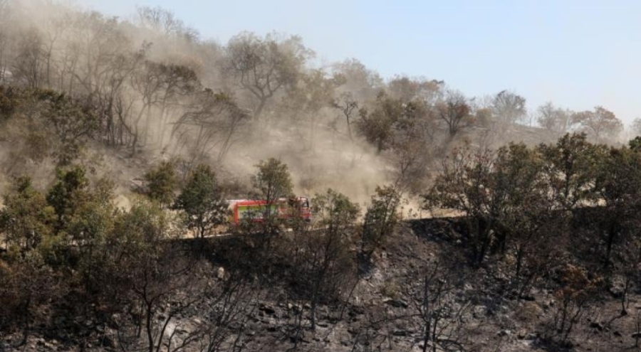 Yunanistan'daki yangında 826 bin hektarlık alan cayır cayır yandı