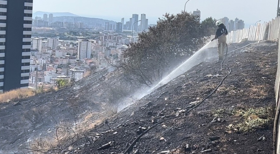 Kartal'da otluk alanda yangın
