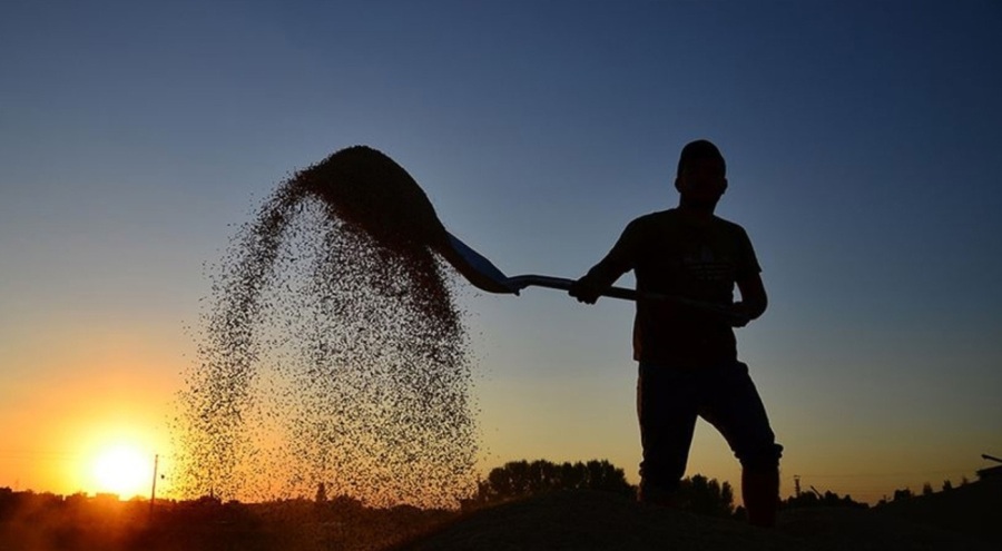 Bakanlık açıkladı: Kayıt yenileme başvuruları 1 Eylül'de başlıyor