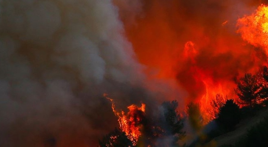 Çorum'da orman yangını çıktı