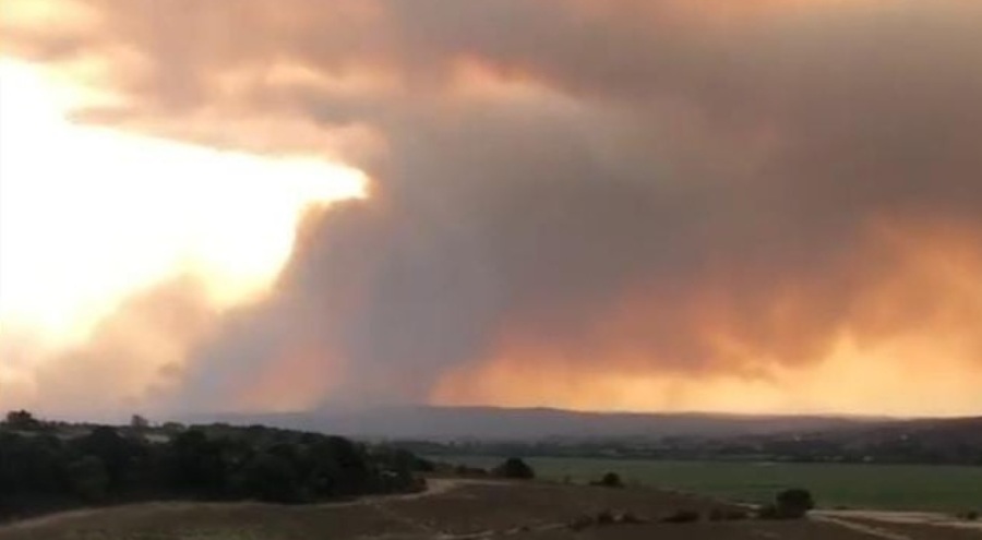 Yunanistan'daki yangın Edirne sınırına dayandı! Dumanlar gökyüzünü sardı