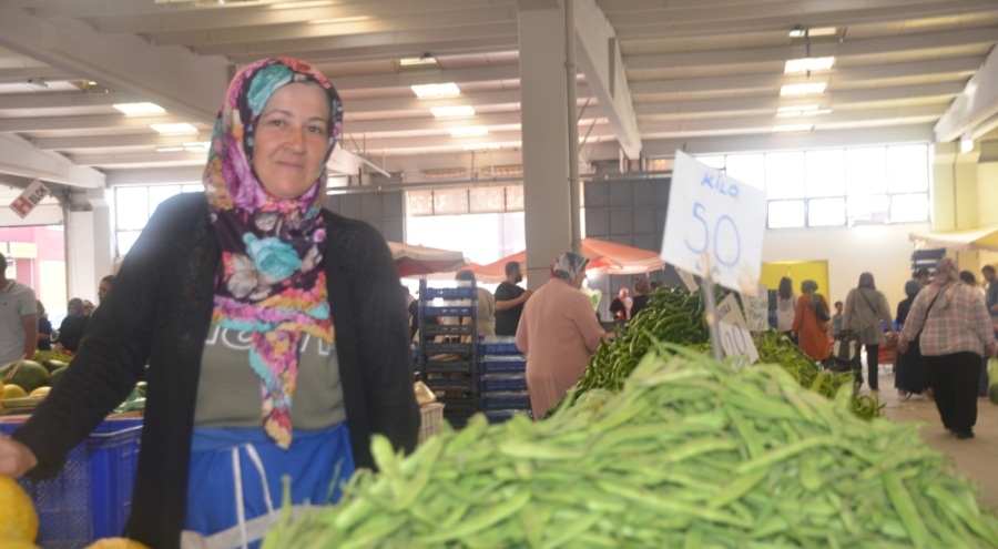 Nazende fasulyesinin hasadı başladı! Kilosu cep yakıyor