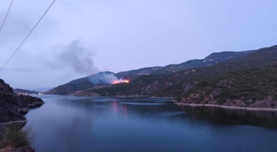 Korkutan orman yangını 5. saatin sonunda söndürüldü