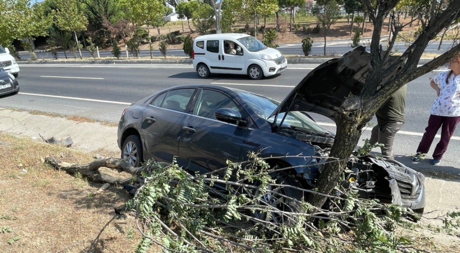 Yoldan çıkan otomobil ağaçlık alana daldı