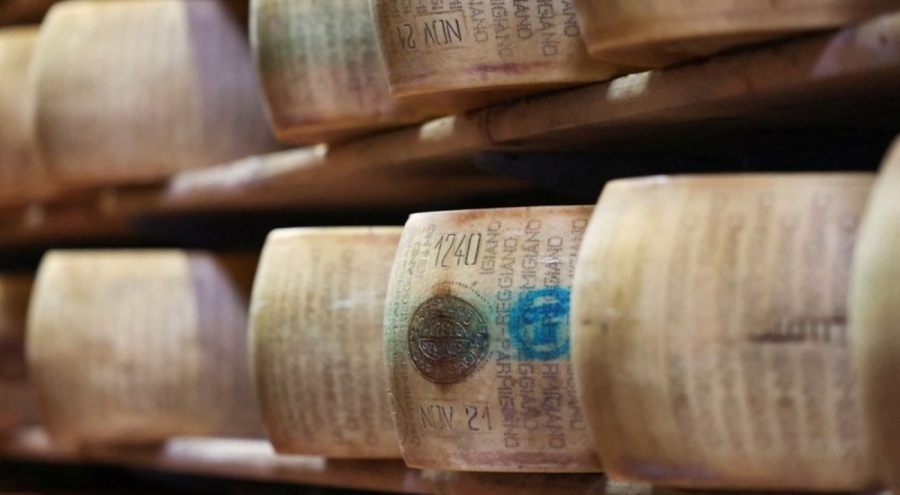 Parmesan peynirine mikroçipli önlem!  Çip takılıyor