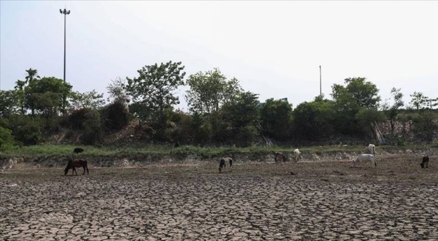 1901'den bu yana en sıcak Ağustos'u yaşadılar