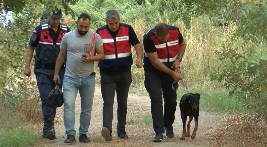 Korhan Berzeg'in köpeği Tina 74 gün sonra döndü ama gizem çözülemedi!