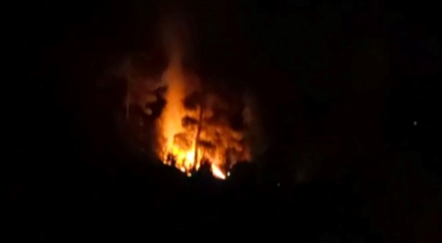 Antalya'da orman yangınını çıkaran şahıs tutuklandı