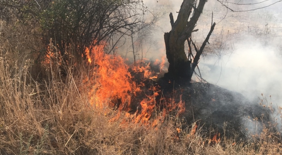 Edirne'de anız yangını okula ve otoparka sıçramadan söndürüldü
