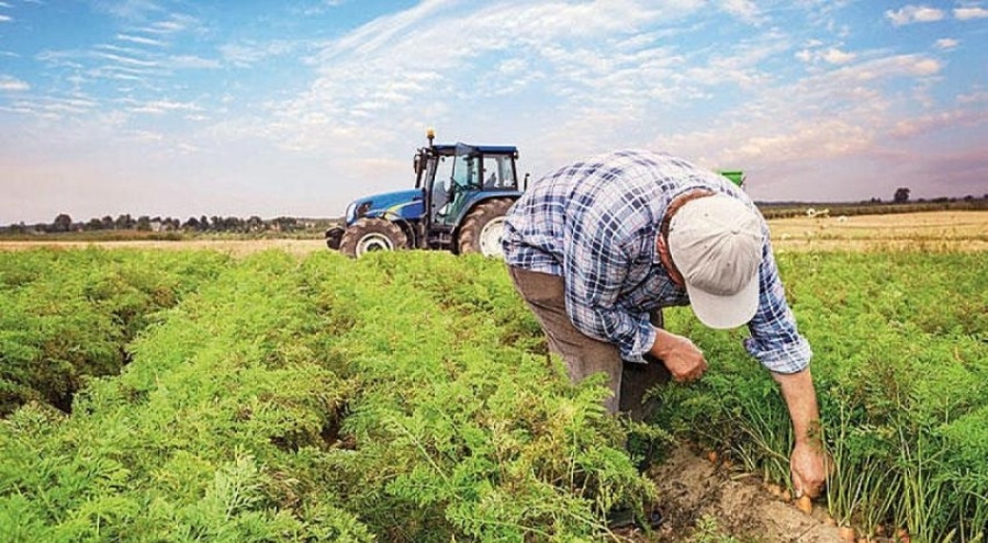 Çiftçiler isyanda: Üretin diye yalvaracaksınız ama...