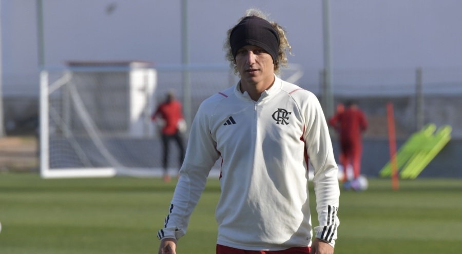 Şenol Güneş, David Luiz transferine sıcak bakıyor