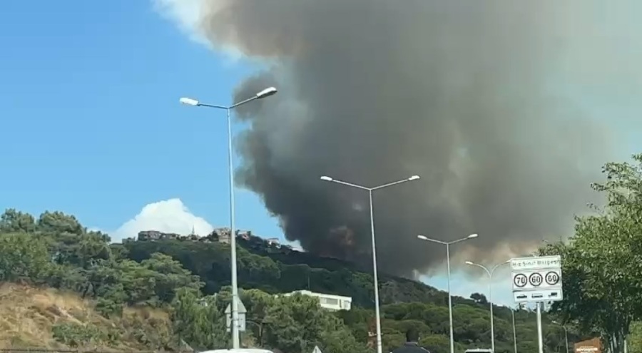 Maltepe'de orman yangını kontrol altına alındı