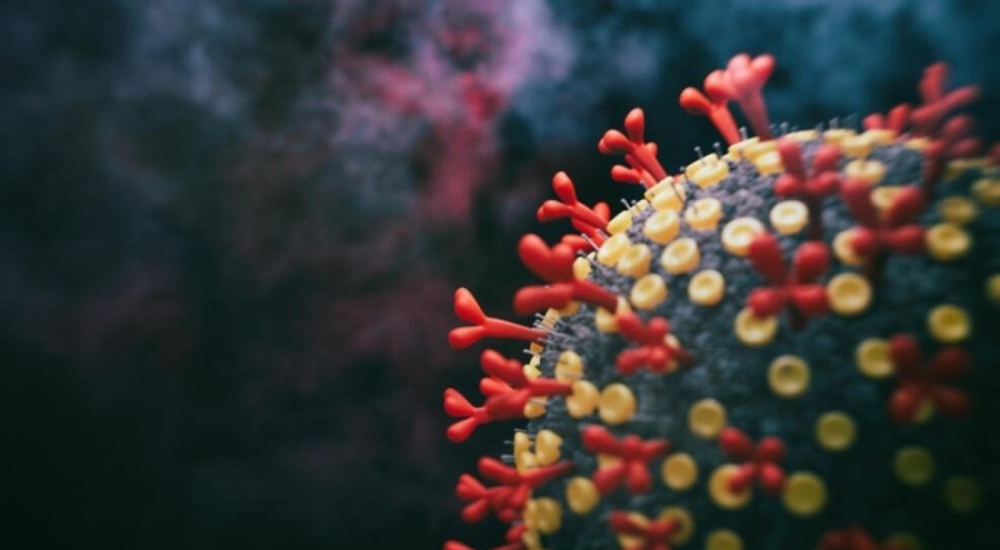 Yeni varyant Pirola ne kadar tehlikeli?