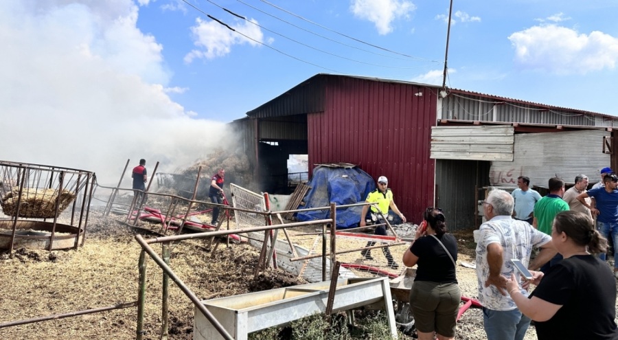 Hayvan damında çıkan yangında iki hayvan telef oldu