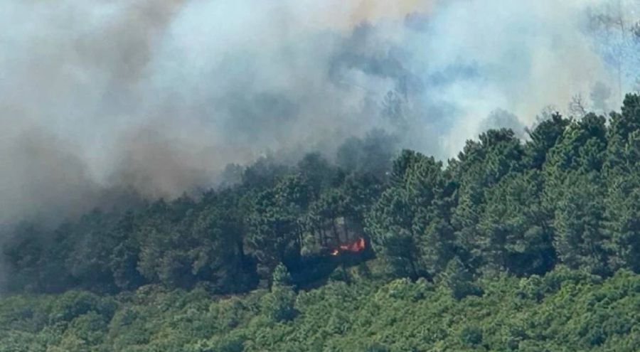 Maltepe'deki orman yangınıyla ilgili 2 kişiye gözaltı!