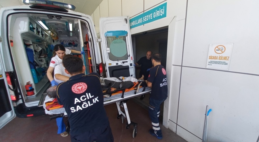 Ağaçtan düşerek kalbine saplanan dal parçası, acı sonu oldu!