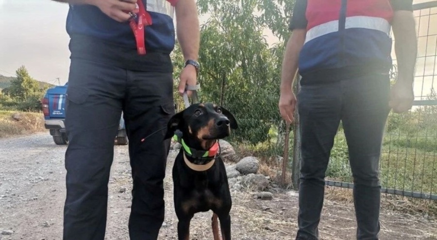 Korhan Berzeg'in eşi konuştu: "Tina'da bir değişim var"