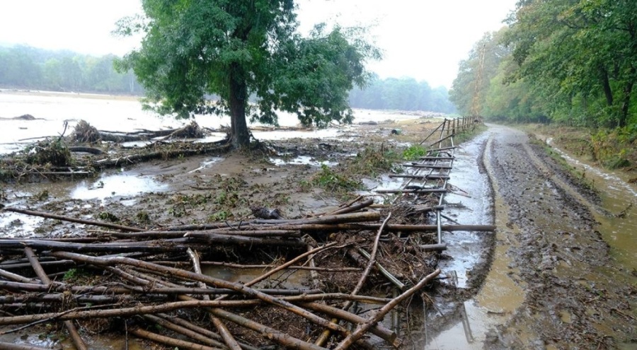 Bakan Özhaseki'den bazı illere yağış uyarısı geldi!