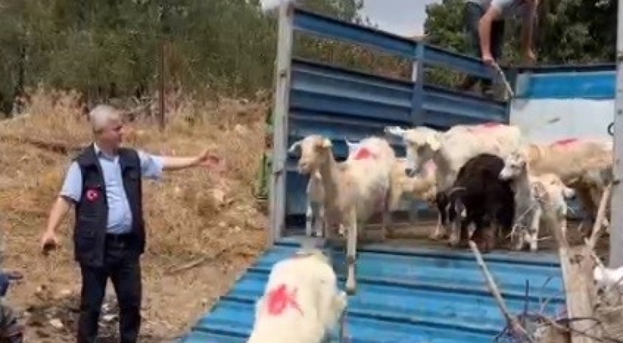 Yangın sonrası Çanakkale'ye destek