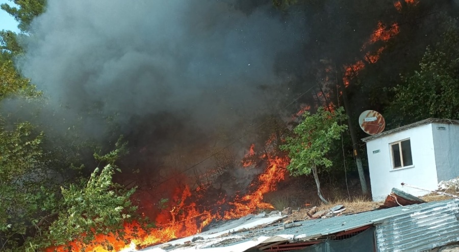 Çanakkale'de yangın çıktı