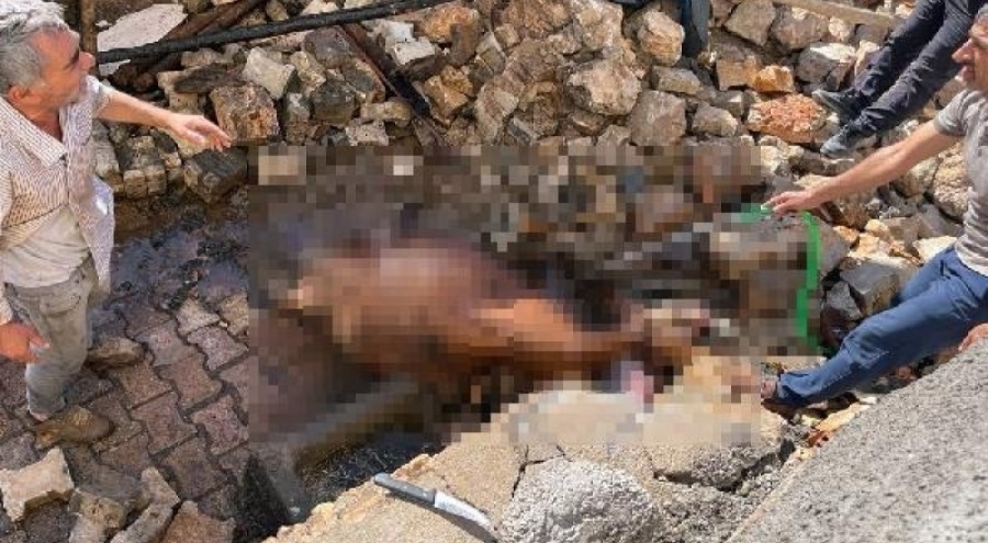 Yangın çıkan ahırdaki hayvanları kurtarmaya çalıştı! Ölümden döndü