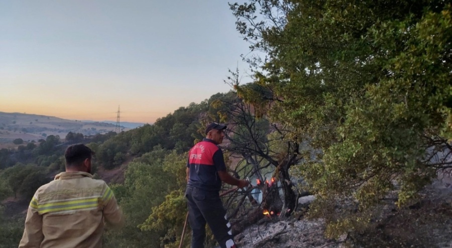 Adıyaman'da anız kaymak isterken, ormanı yaktı!