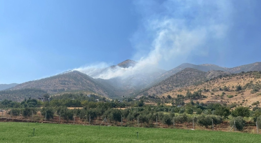 Kahramanmaraş'ta yangın çıktı!