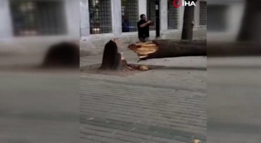Sultanahmet Meydanı'nda devrilen ağaç paniğe yol açtı: 10 yaralı