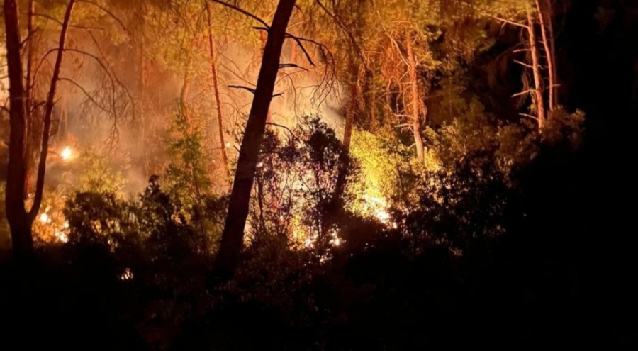 İmamoğlu ilçesinde ikinci orman yangını