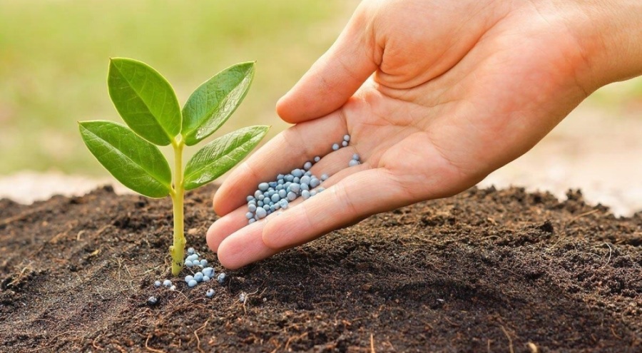 Gübre fiyatları altınla yarışa girdi