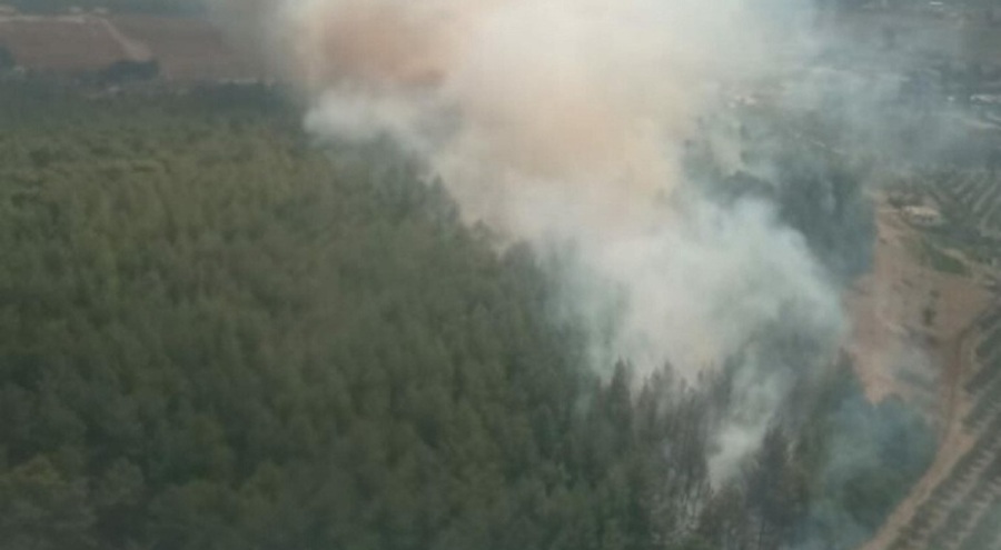 İzmir'de korkutan orman yangını!