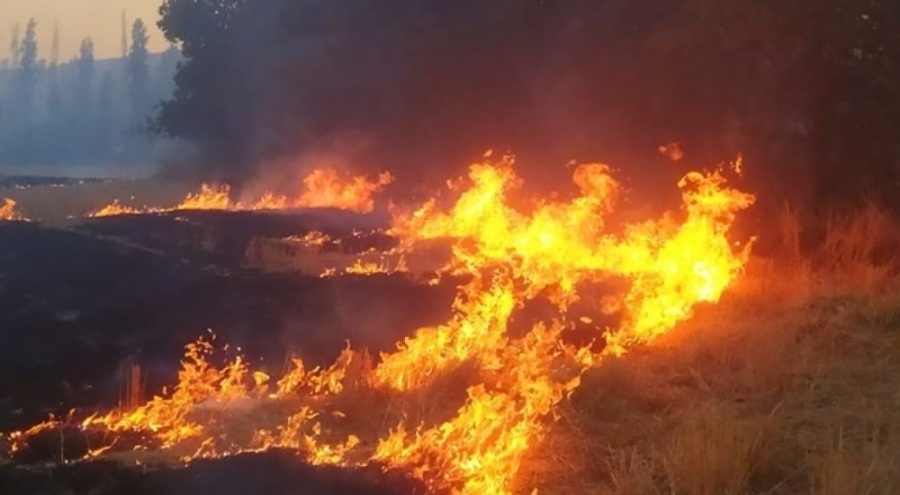 Çorum'da anız yangını 100 dönüm alanı kül etti