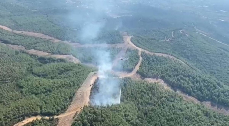 İzmir'de orman yangını