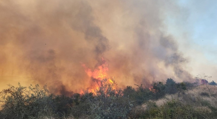 Gelibolu'daki maki yangını, ormanlık alana sıçradı