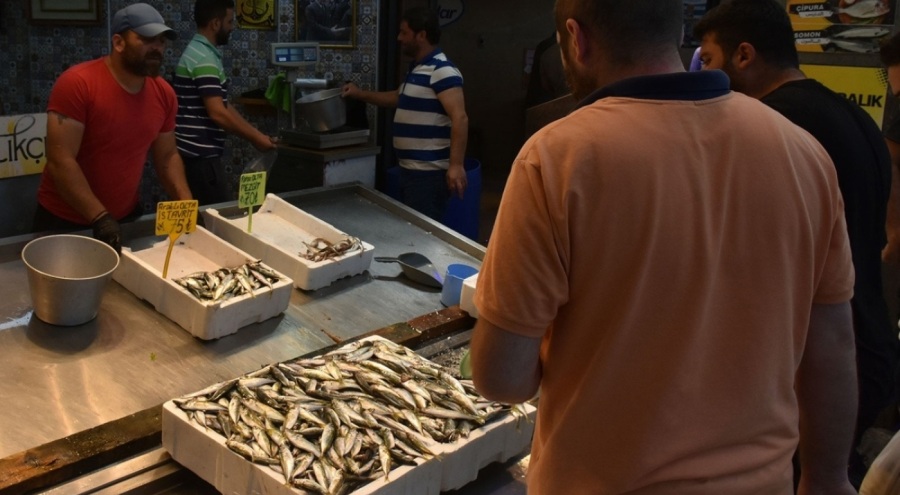 Av yasağı bitti, Trabzon'da balıkçı tezgahları şenlendi