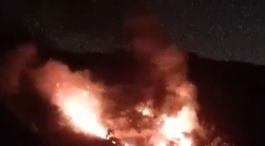 İstanbul Pendik'te orman yangını çıktı!