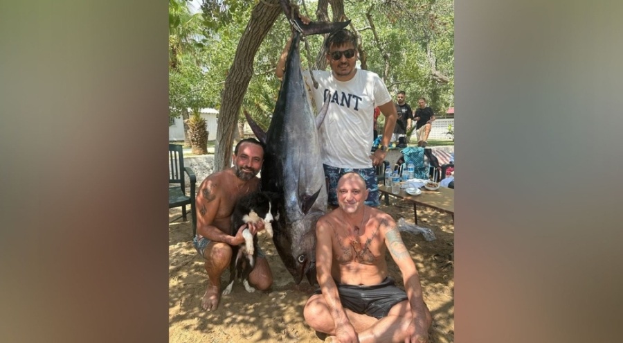 Denize açılan amatör balıkçılar oltayla 2 metrelik orkinos yakaladı