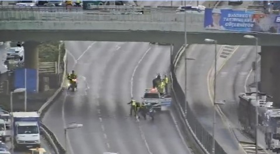 Başıboş atlar trafikte tehlike saçtı