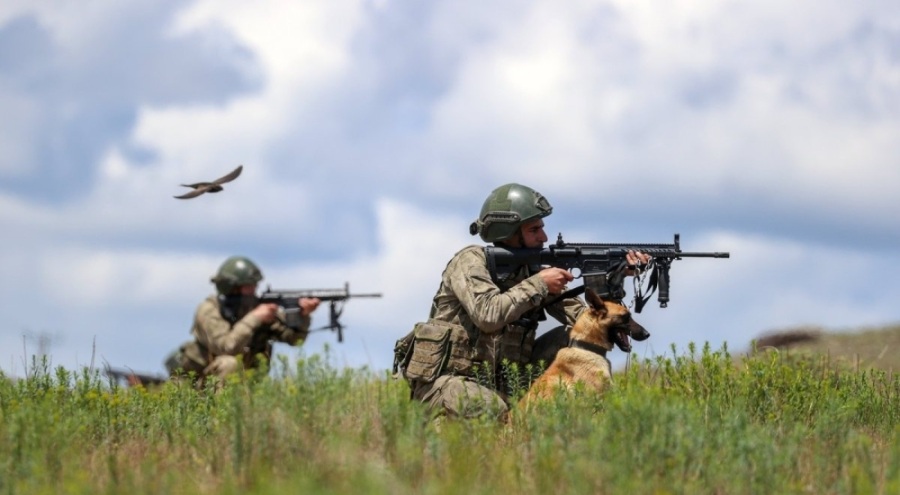 12 terör örgütü üyesi yakalandı