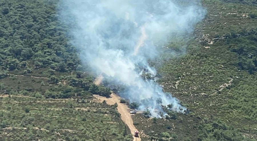 İzmir'de korkutan orman yangını