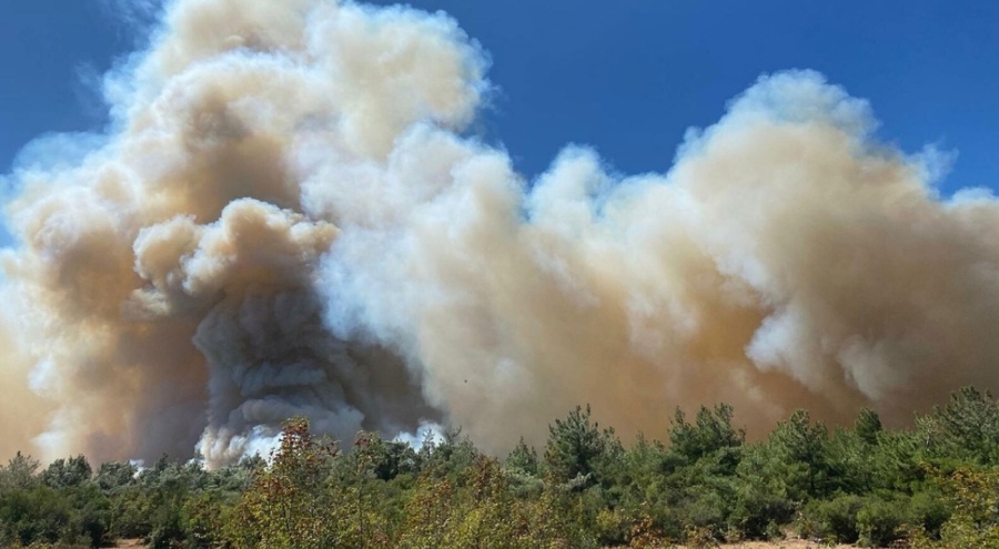 Manisa'nın Soma ilçesinde orman yangını!