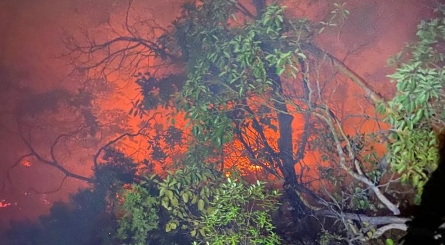 Bilecik'teki orman yangını kontrol altına alındı