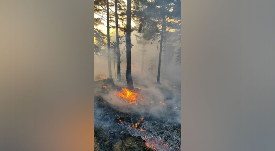 Çanakkale Ayvacık'ta orman yangını çıktı!