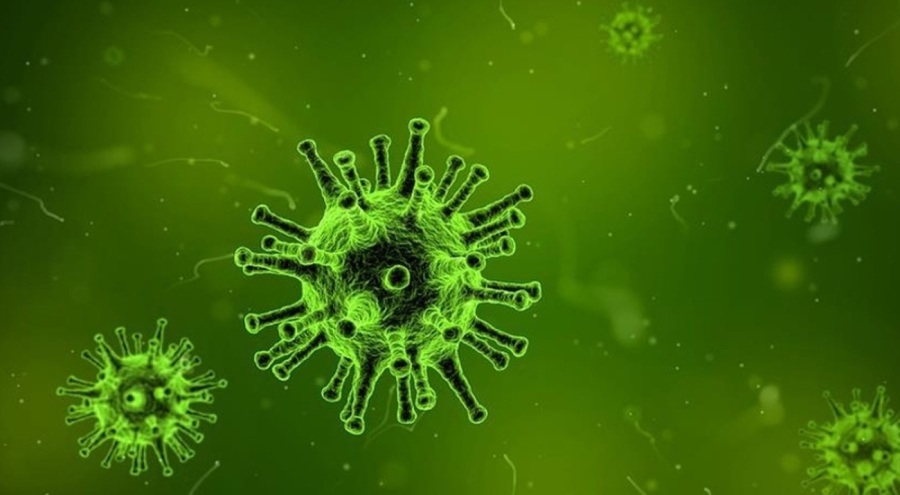 Hindistan'da Nipah virüsü: 2 kişi hayatını kaybetti