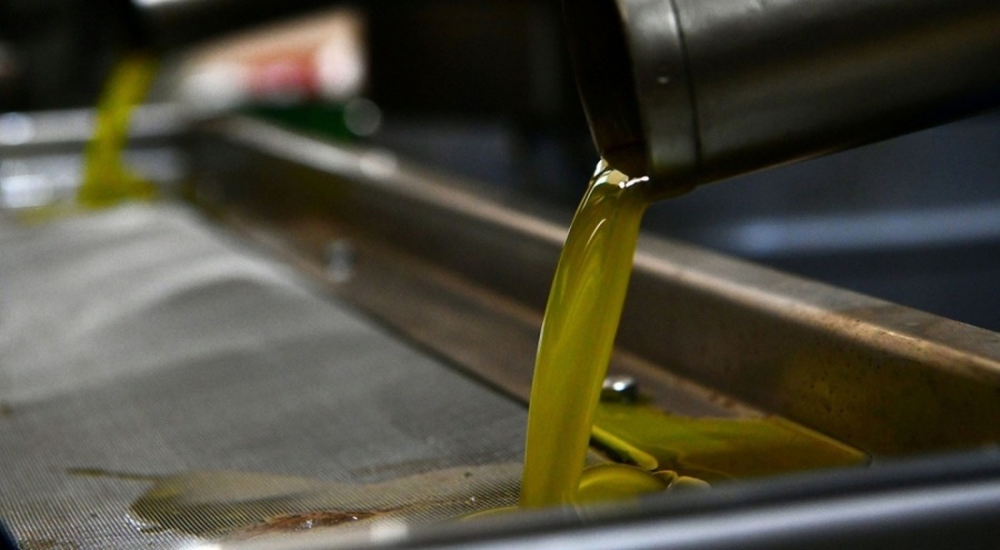 Depolarda kalan 150 bin ton zeytinyağı bozuldu!