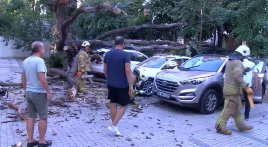 Aracın üstüne devrilen ağaç 51 daireyi icralık etti