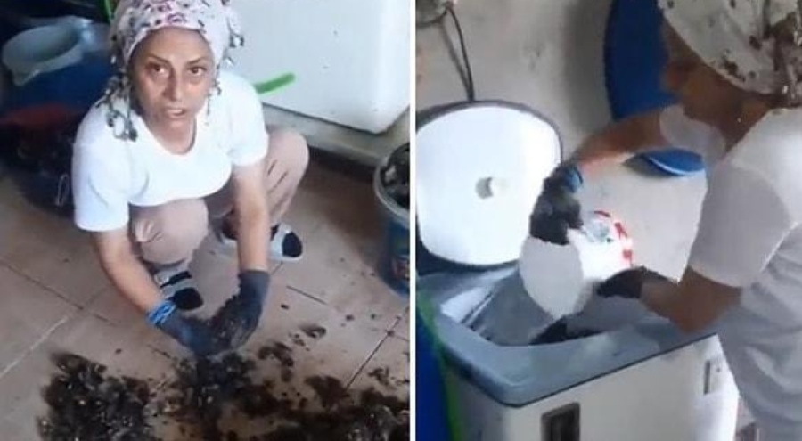 Sosyal medyada gündem oldu: Midye başlı başına bir çöp