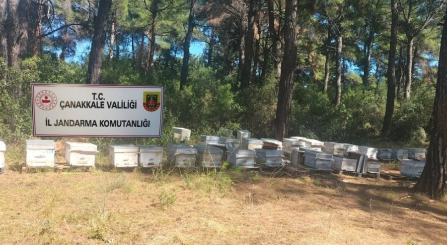 Çanakkale'de arı kovanı hırsızlığı