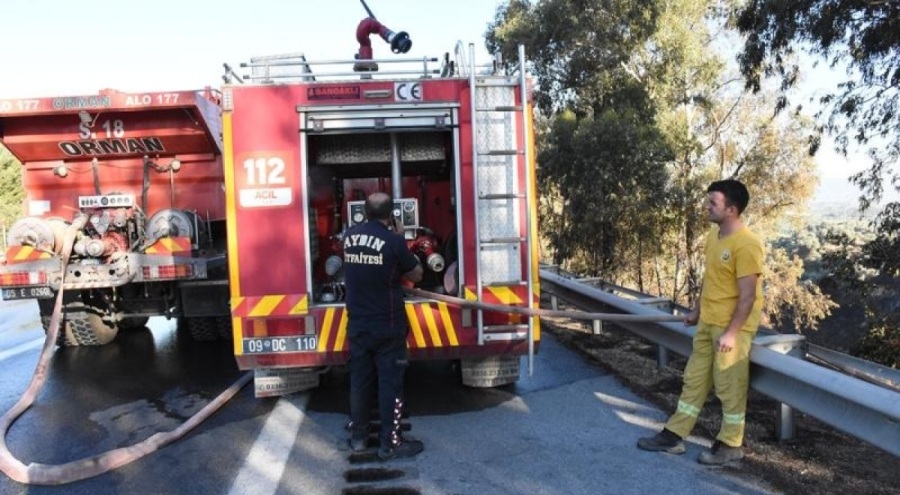 Aydın'da zeytinlik alanda korkutan yangın!
