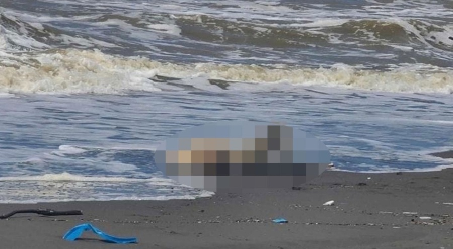 Ordu'da kaybolan şahsın cesedi Batum'da kıyıya vurdu!